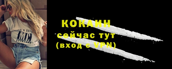 прущие грибы Осинники
