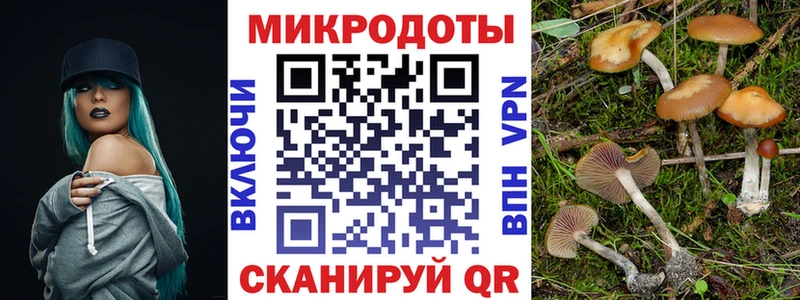 Галлюциногенные грибы мухоморы  купить   Прохладный 